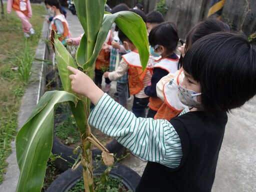 幸福幼兒園 食農教育好好玩