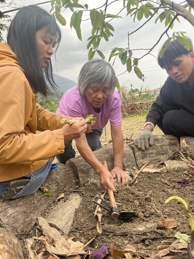 慈大USR與加灣文健站齊推動太魯閣族趨合農法