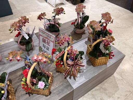 蘭花傳心意 媽媽笑開心 母親蘭花DIY