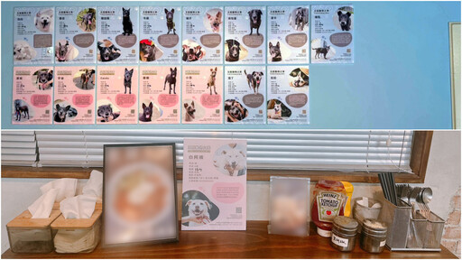動物之家結合餐廳 推廣毛寶貝認養計畫