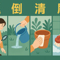 梅雨季登革熱風險升 疾管署籲民眾預防