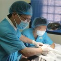 中慈簡守信院長妙手針線情 有著慈悲的仁醫心