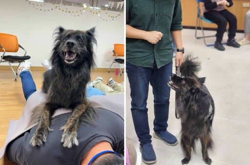 從浪犬到狗老師 打造人與動物共好的療癒藍圖