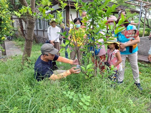 走讀左營 一趟穿越舊城與濕地的知性之旅