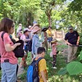 走讀左營 一趟穿越舊城與濕地的知性之旅
