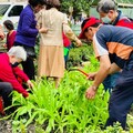 花蓮推廣社區自主廚餘堆肥 打造社區開心農場