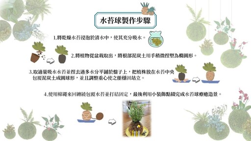 您也是綠色星球創造主 田園課程教您揉捏苔球