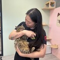 新北市動保處首創結合餐廳 成立愛心認養小棧
