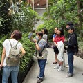 探索台灣蕨類王國歷史 典藏植物園蕨對好看