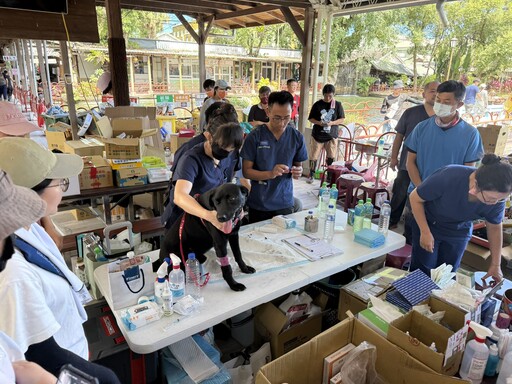 花蓮縣政府攜手公會與協會啟動光復災區犬貓義診服務