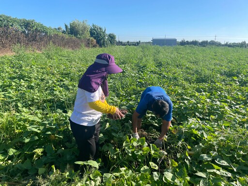 新住民紮根彰化 夫妻攜手耕耘地瓜田網路行銷創佳績