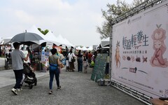 大林慈院中醫師談古今養生 從故宮藏書到AI辨體質展現中醫之美