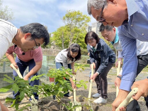 響應復育瀕危植物槲櫟丨林業保育署與新竹市府攜手推動認養