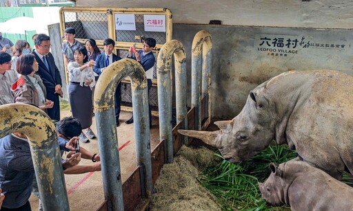 祝艾瑪好孕到｜六福村與東武動物公園締結姊妹園打造台日交流橋樑