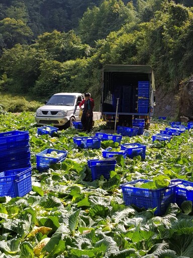 小川鍋物從田間到舌尖 | 整個島嶼物產與餐桌零距離