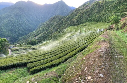 首波寒流將抵台｜全台農友務必加強防寒措施