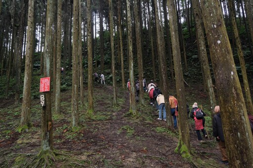 新竹走走體驗五峰踩線團丨循著馬告辛香探訪泰雅祕境