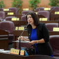 打造安全、友善、永續的桃園城市藍圖 市議員張碩芳提５大主張