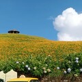 跟著愛玉小蜂走！金針山福卡地夏日親子DIY涼夏登場