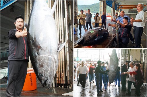 黑鮪季拔頭籌 蘇澳漁船捕獲全國第一鮪 重269公斤正待價而沽