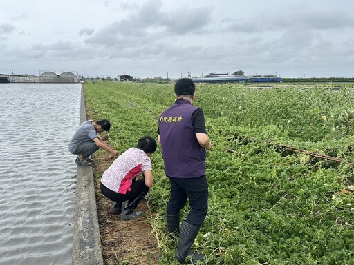 凱米颱風重創彰化農業 農損已高達3億元以上盼中央現金救助