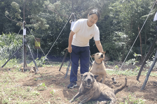 龍柏樹移至動物之家 舒適樹蔭造福毛寶貝