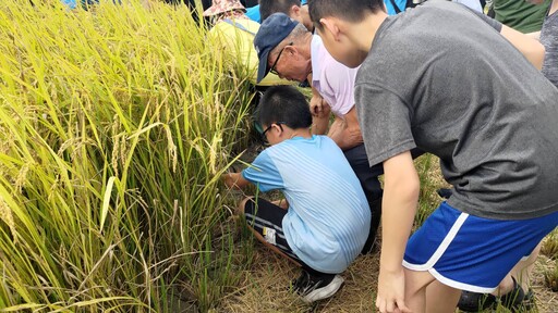 友善耕作保育棲地 打造金山完善生態綠網