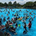 知卡宣綠森林親水公園夏季戲水活動圓滿閉幕