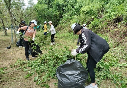 開戰「綠癌」！柏文除小花守護生態