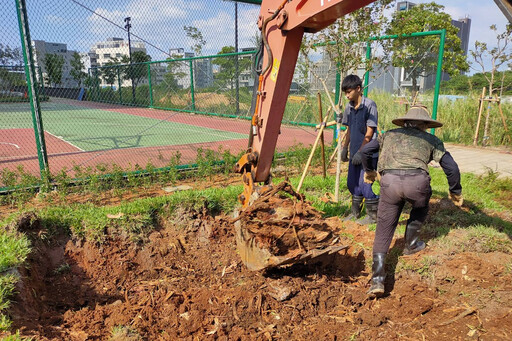 新北市綠意守護者 樹木保護委員會召開 推動樹木遷植與保護計畫