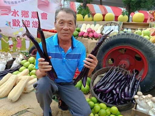 二水鄉農會113年度農情茄意-嚐白柚產業推廣 進一步推廣二水鄉觀光與農業文化