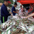 外海風浪攀升 10/26野柳漁港萬里蟹特賣會延期 饕客再等等