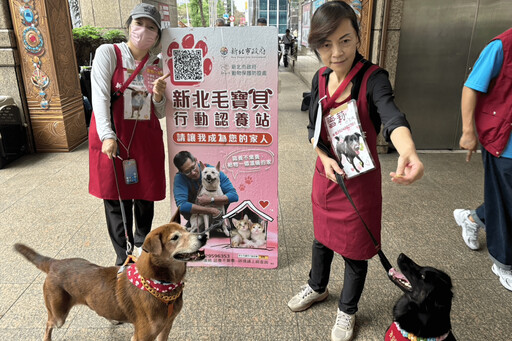 1+1犬貓認養會開跑 光棍節一起給毛寶貝一個溫暖的家