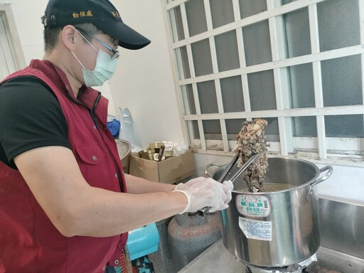 新北推「333」認養政策 愛心鄭媽媽料理鮮食 毛寶貝們盡情享受佳餚