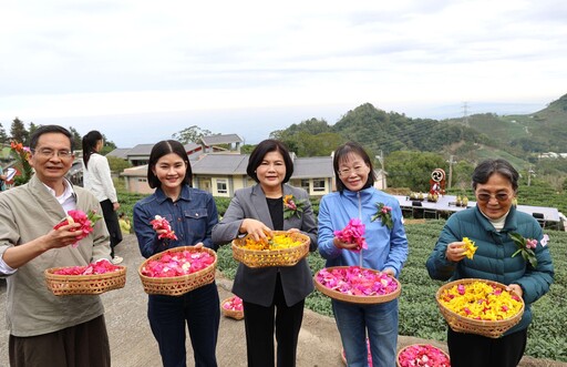 樟湖生態中小學校慶辦謝茶祭 讓孩子學習懂感恩、謝天地