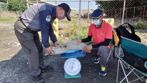 自然保育署開放濁水溪流域漂流木撿拾 民眾可上網查詢最新資訊