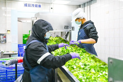 張善政視察截切場：桃園學童營養午餐 有機食材最安心