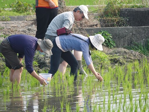 影音/大葉舉辦「USR循跡里山共識會議」 未來三年將持續推動「里山精神」