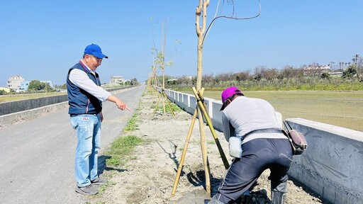 提升城鎮景觀 二林鎮舉辦「藍花楹種樹植福活動」