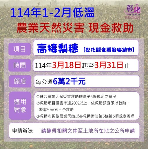 彰化縣高接梨穗寒害受損 確認災損情形後將函報農業部爭取救助