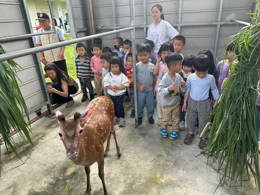 「羊鹿情深．榮耀牽線」吸睛 花蓮榮家溫馨迎娶羊鹿寶寶