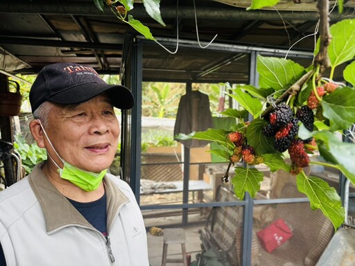 榮家「開心農場」也有神農氏 用心耕耘播下生命力與人情味