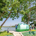 埤塘變身水綠廊道 桃園大圳3-3埤塘綠美化完工 張善政邀市民賞夕陽、親生態