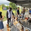 歡度母親節 秀傳寵物市集 免費健檢疫苗施打一次滿足