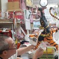 第十屆金門文化獎得獎人出爐