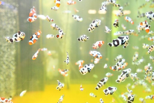 十大神農科技養魚 彰化出品驚艷國際