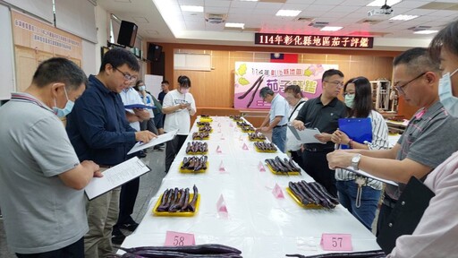 端午節掀茄子風潮 彰化茄子評鑑競賽永靖鄉農會登場