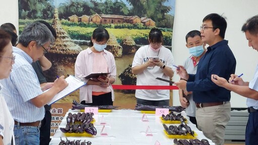 端午節掀茄子風潮 彰化茄子評鑑競賽永靖鄉農會登場