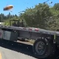 影音/2.5億隻蜜蜂大逃亡 美運蜂卡車翻覆封鎖道路