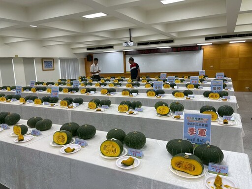 新北市全國大南瓜比賽食用組糖度高達14.9 淡水、新店、深坑農民齊奪佳績